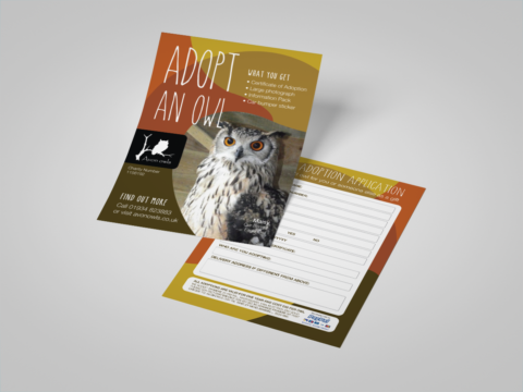 adopt an owl leaflet back and front