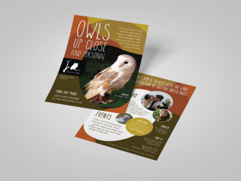 owl event leaflet back and front