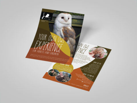 owl experience leaflet back and front